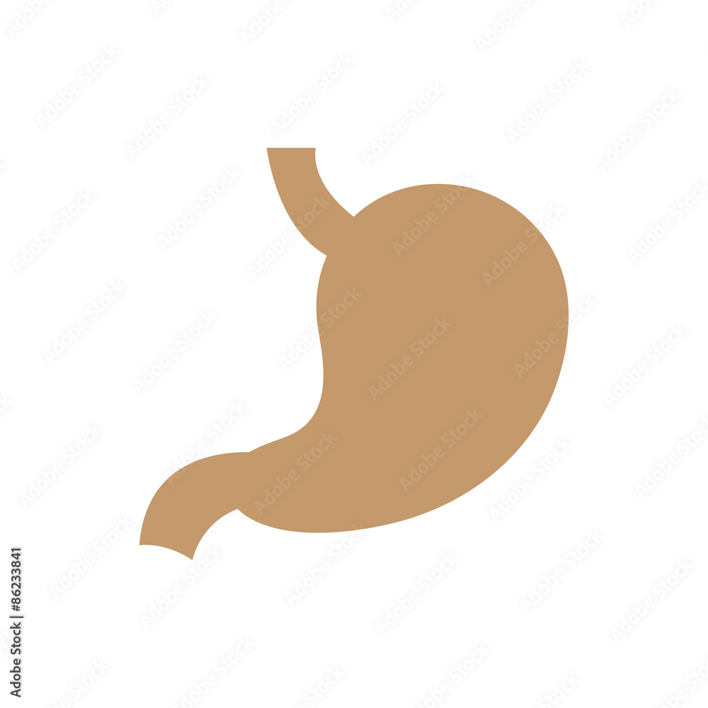 stomach vector stomach vector