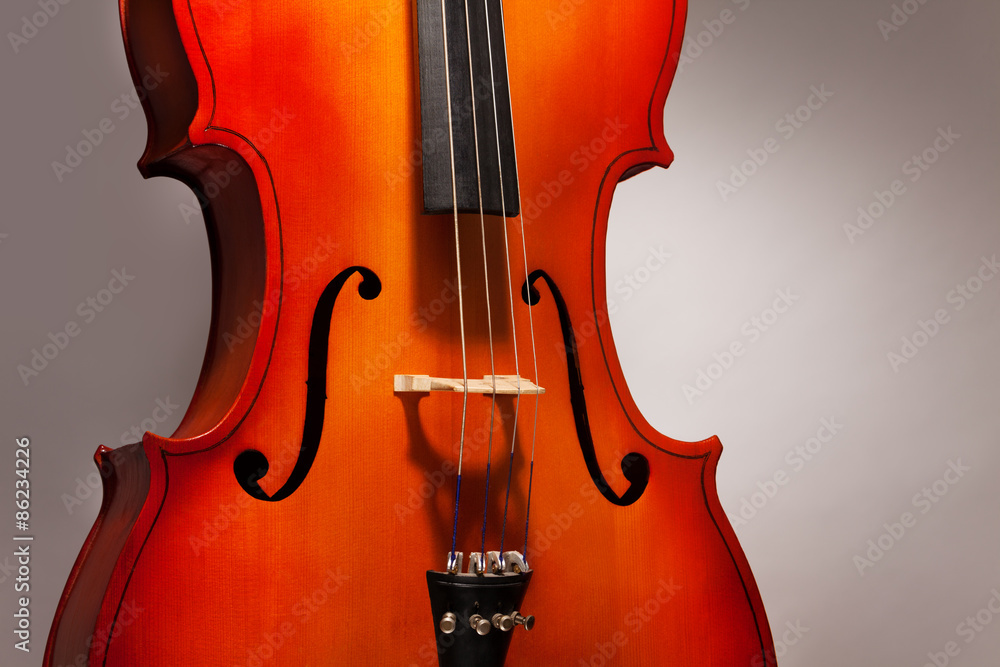 One violoncello fragment in vertical position One violoncello fragment in vertical position