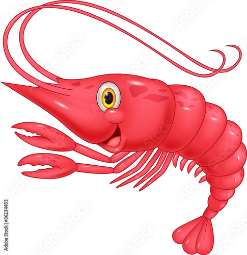 Cute shrimp cartoon illustration