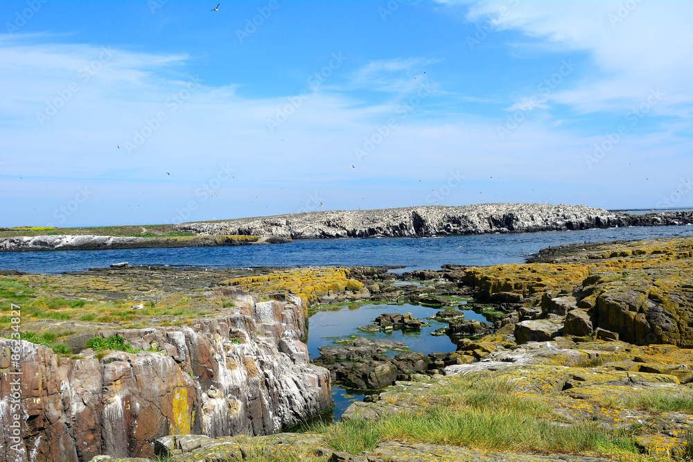 Farne Islands Nature Reserve, England