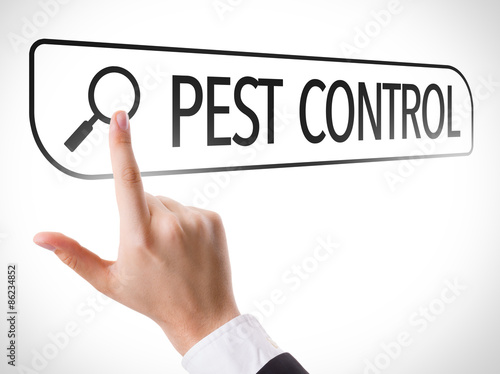 Принти на полотні Pest Control written in search bar on virtual screen