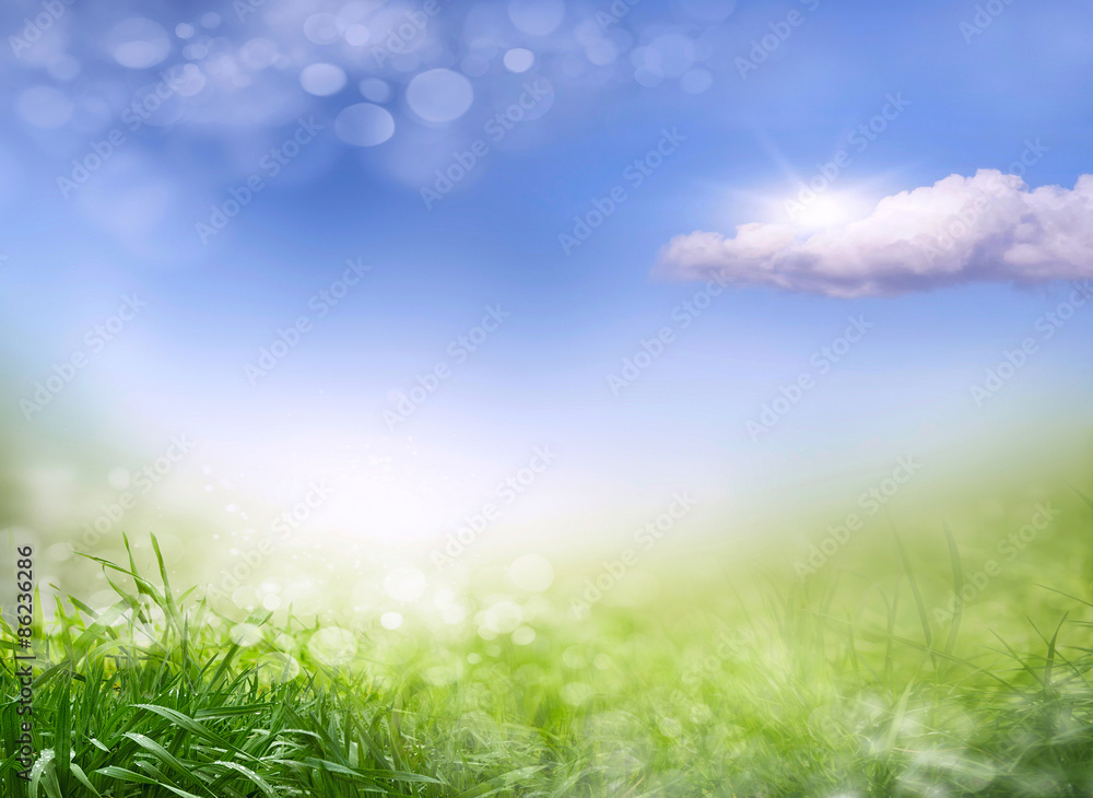 Fototapeta premium Abstract spring background 2