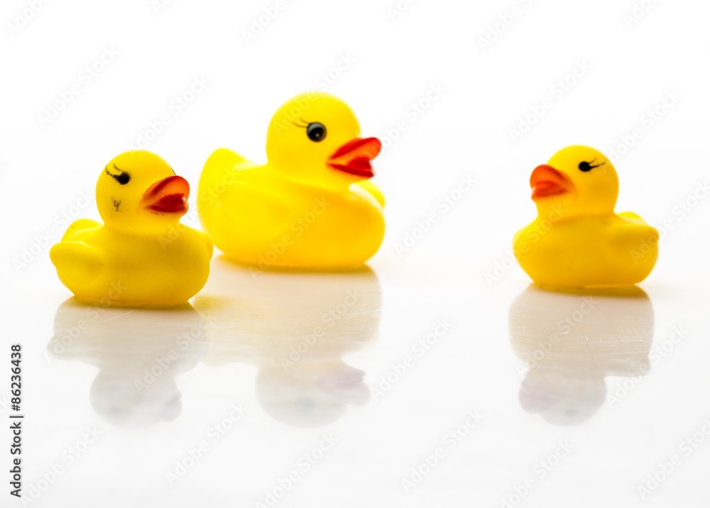 Rubber Duck, Mother, Rubber. Rubber Duck, Mother, Rubber.