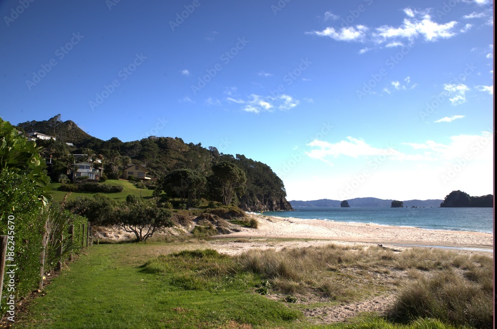 Strand bei Hahei, Neuseeland, Nordinsel Strand bei Hahei, Neuseeland, Nordinsel