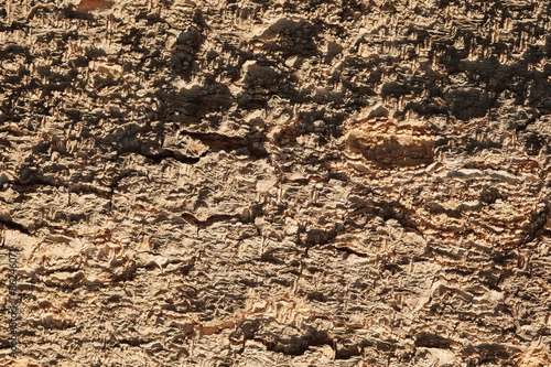 Fotografie Wood texture