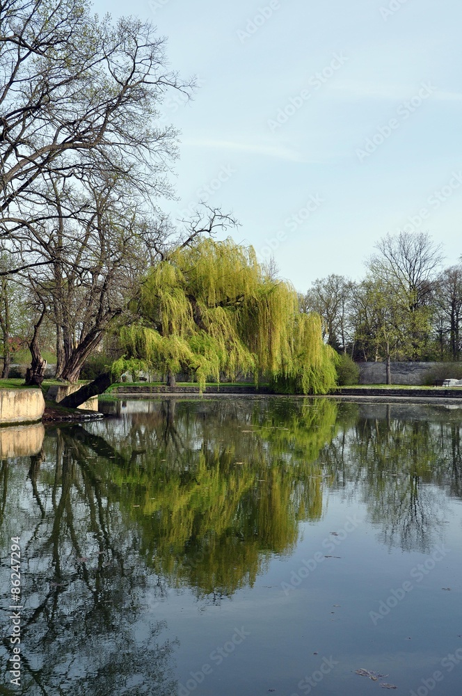 Schloßpark Lampertswalde Schloßpark Lampertswalde