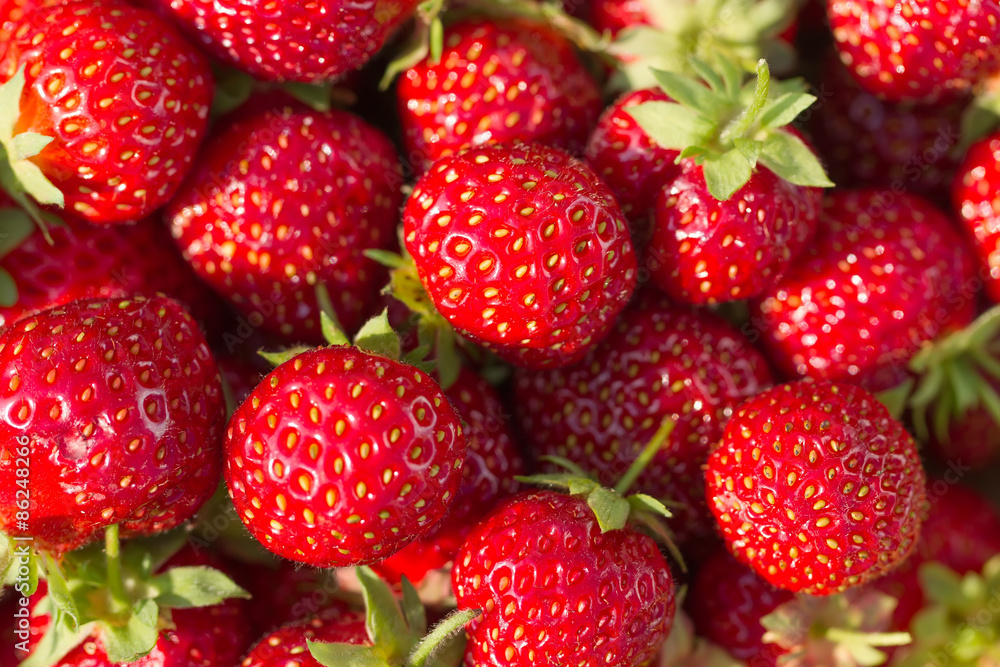 background from fresh ripe strawberries background from fresh ripe strawberries