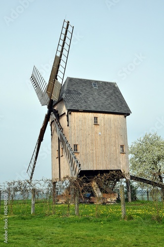 Bockwindmühle im Frühling