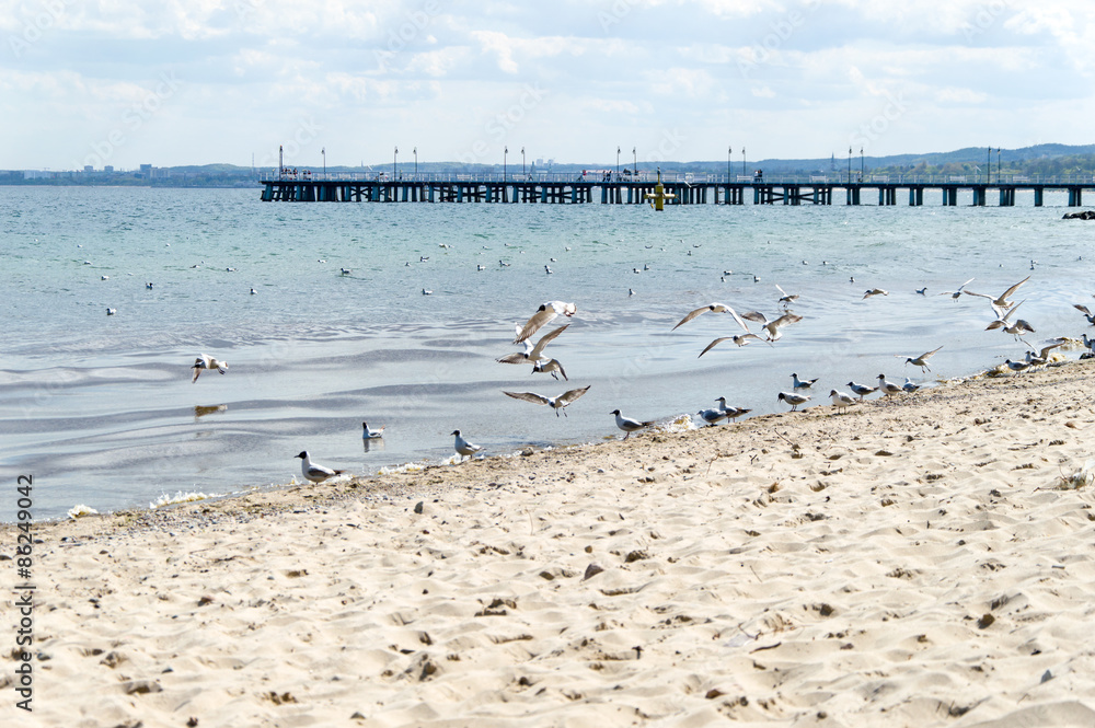 Fototapeta premium View on the pier in Gdynia Orlowo, poland