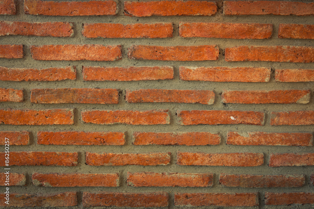 wall wall