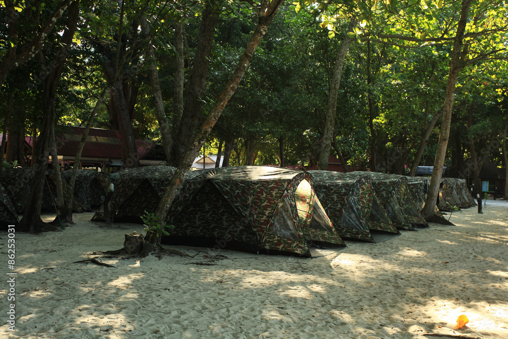 jungle on a beautiful island jungle on a beautiful island
