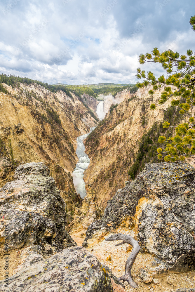Yellowstone falls in National Park
