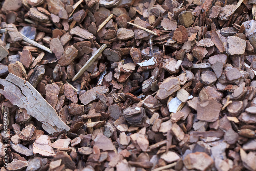Wood chip background texture with small chips Wood chip background texture with small chips
