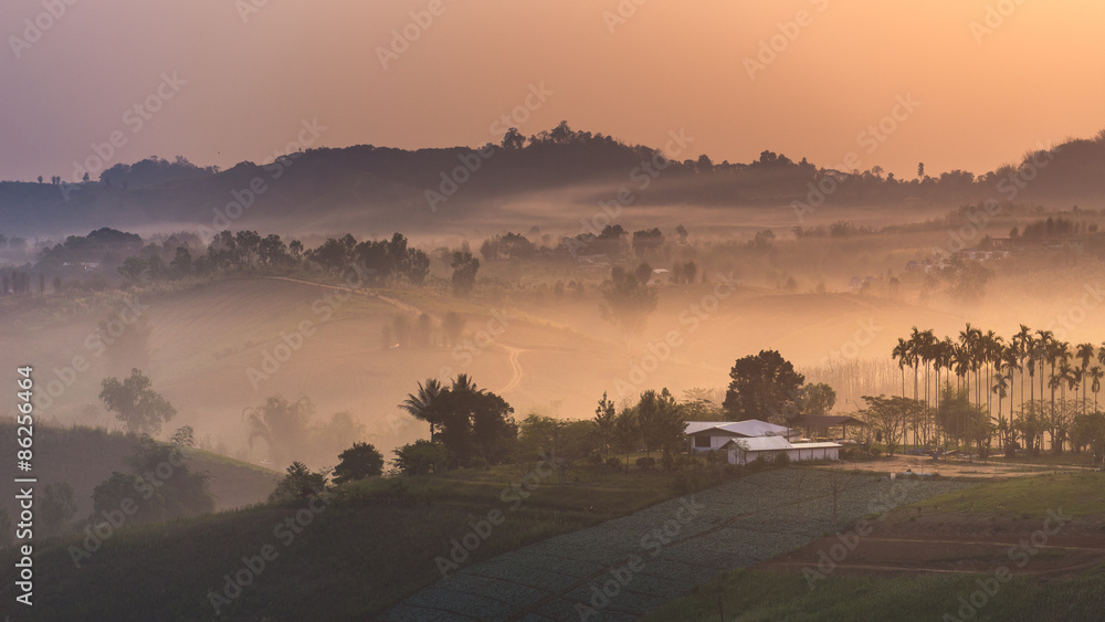 custom made wallpaper toronto digitalfog and mountain