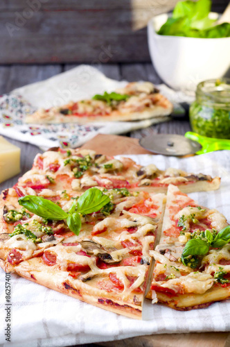 rustic italian pizza with mozzarella