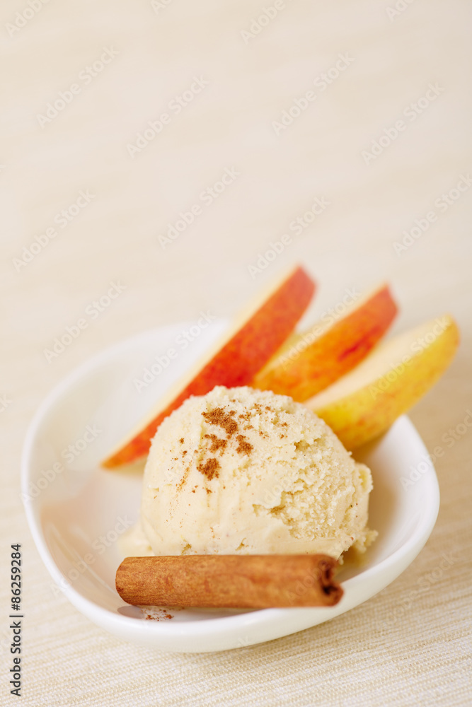 Cinnamon ice cream with cinnamon stick Cinnamon ice cream with cinnamon stick