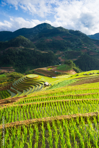 Rice fields on terraced in rainny season at Mu Cang Chai, Yen Bai, Vietnam.