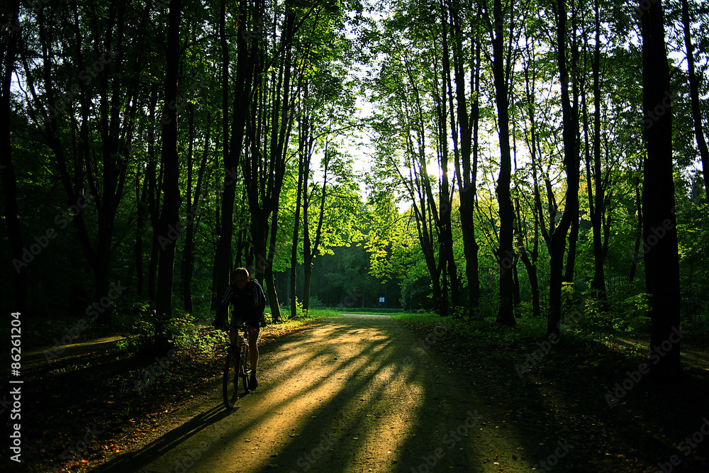 Fototapeta premium Summer in the city park landscape