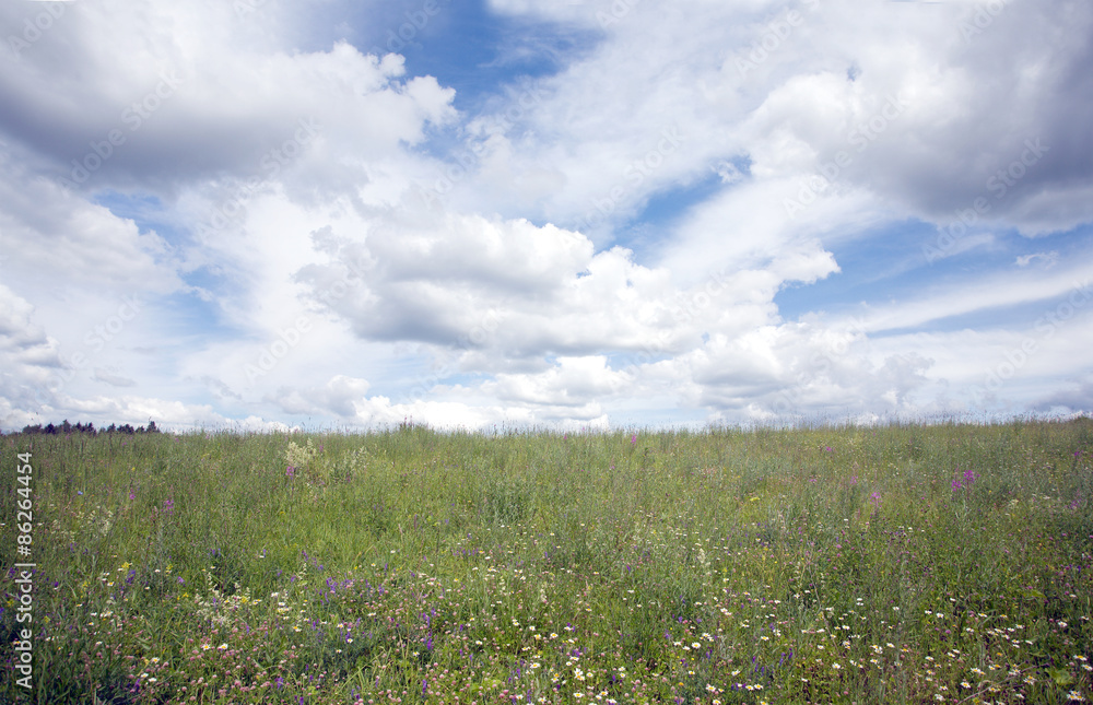 Rustic landscape with meadow and beautiful sky with clouds on summer Rustic landscape with meadow and beautiful sky with clouds on summer