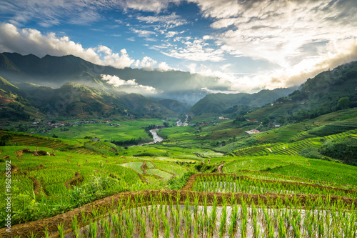 Rice fields on terraced in rainny season at SAPA  Lao Cai  Vietnam.