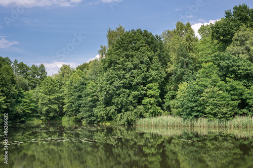 Lake in the forest in the summer. © O.B.