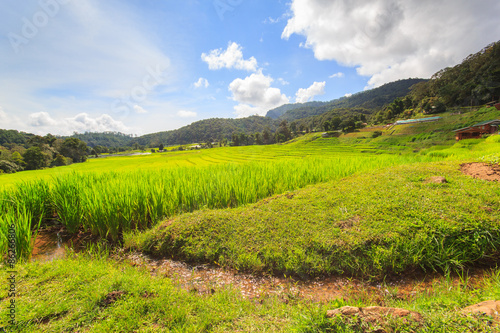 Green Terraced Rice Field in Mae Klang Luang , Mae Chaem, Chiang Mai, Thailand © Southtownboy Studio