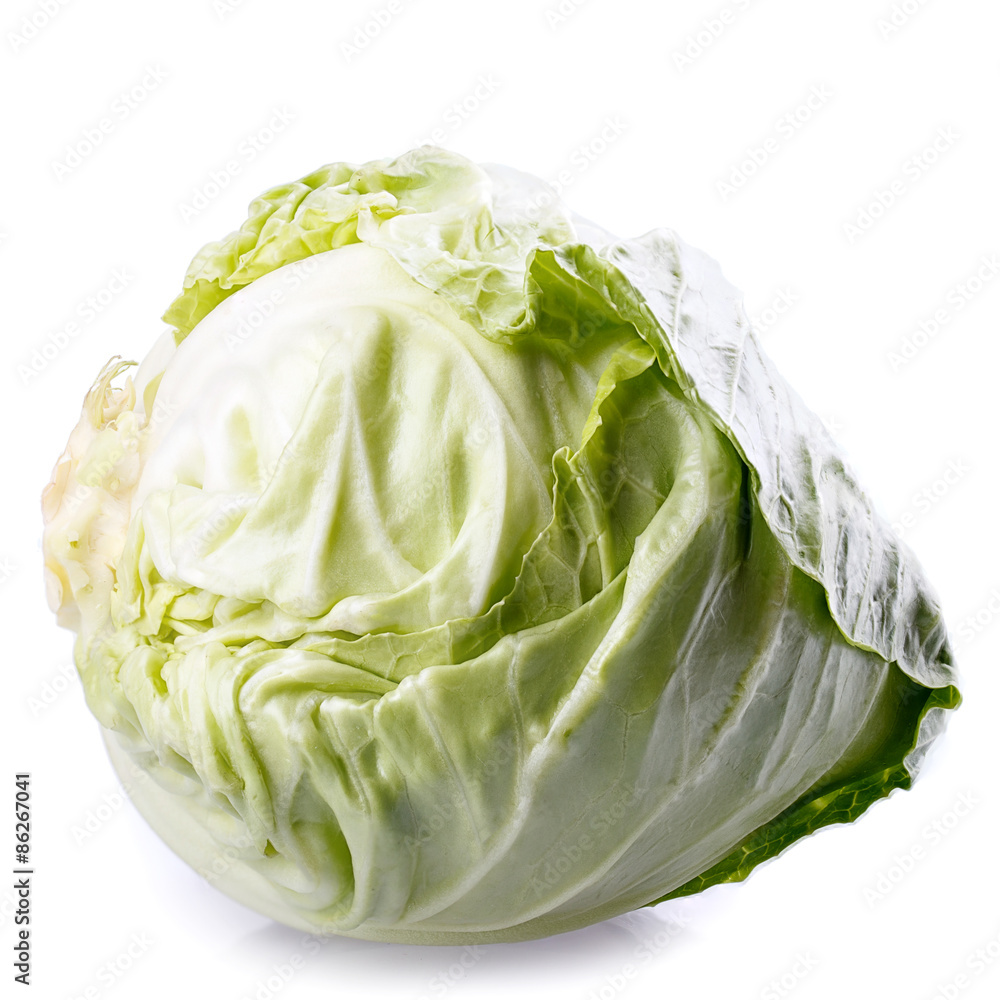 cabbage cabbage