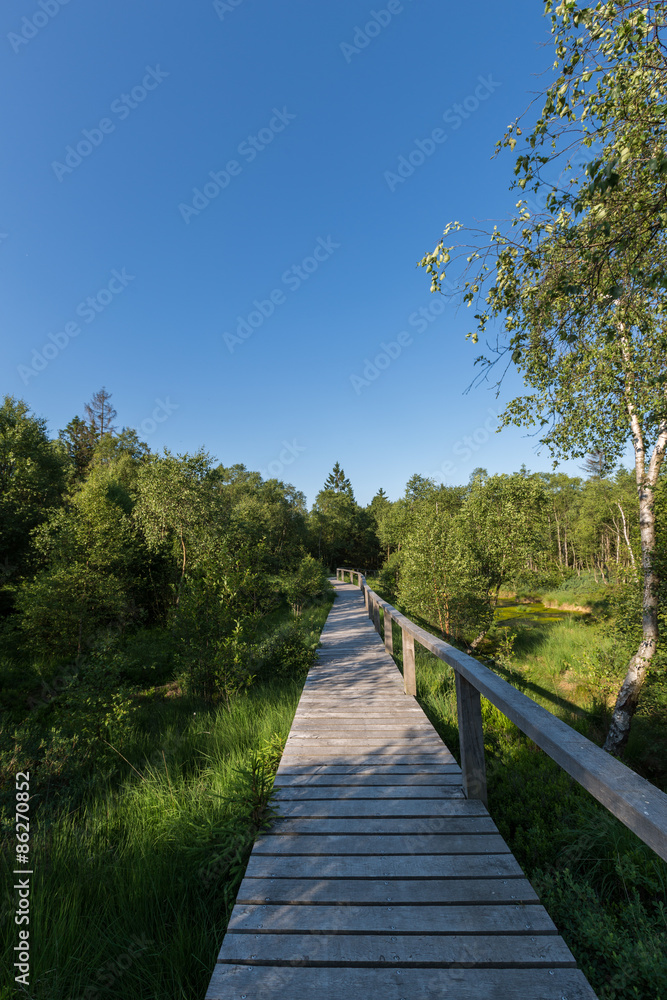 Einsamer Steg durch das Hochmoor im Solling bei gutem Wetter Einsamer Steg durch das Hochmoor im Solling bei gutem Wetter