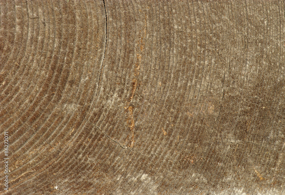 Naklejka premium old wood texture