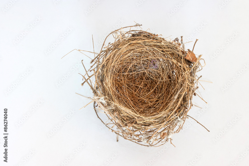 top view of empty bird nest top view of empty bird nest