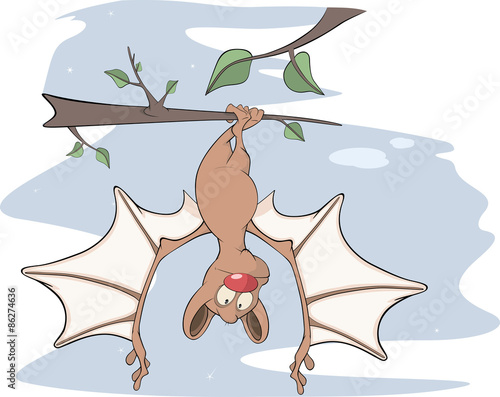 Little cheerful bat  Cartoon