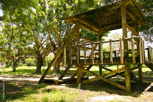 Wallpaper Mural 沖縄　那覇市内の公園 Torontodigital.ca