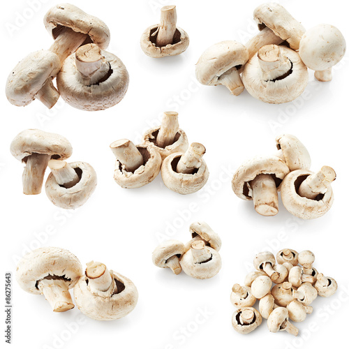 Set of champignon mushroom