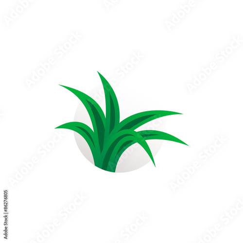 Simple aloe vera plant logo. Herbal sign.