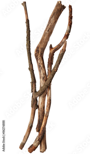 Sticks of tree