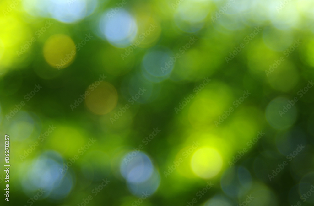 Obraz premium green bokeh