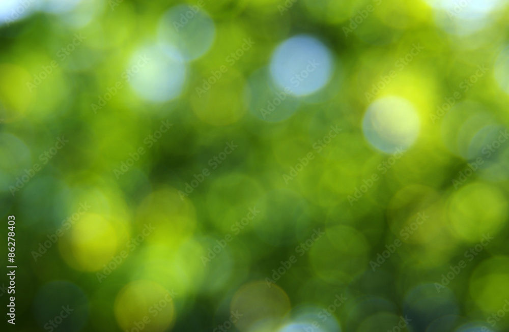 Fototapeta premium green bokeh