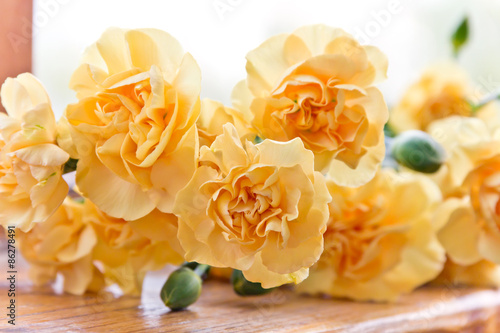 Yellow carnations