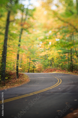Road with Curve Through Autumn Forest in Wisconsin