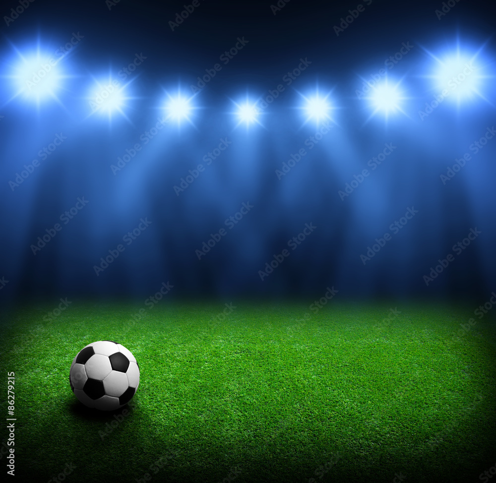 Fototapeta premium Soccer stadium