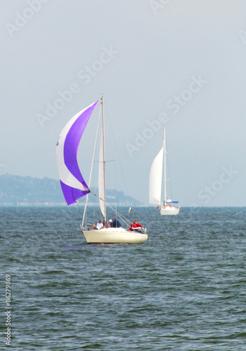 Wallpaper Mural Sailboats in the sea Torontodigital.ca
