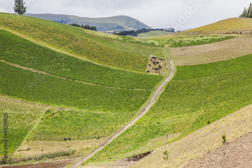 Cultivated fields on slopes of the Ecuadorian Andes