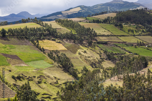 Cultivated fields on slopes of the Ecuadorian Andes