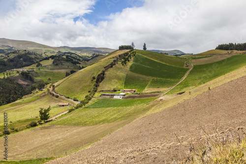 Cultivated fields on slopes of the Ecuadorian Andes