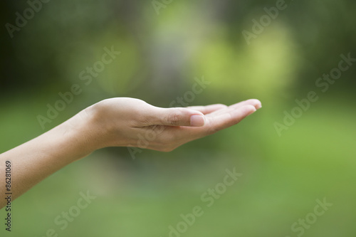 empty human hand with palms up © tatomm