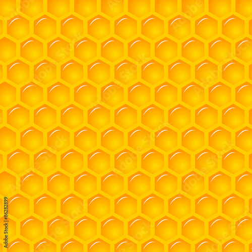 Natural Background with Honeycombs