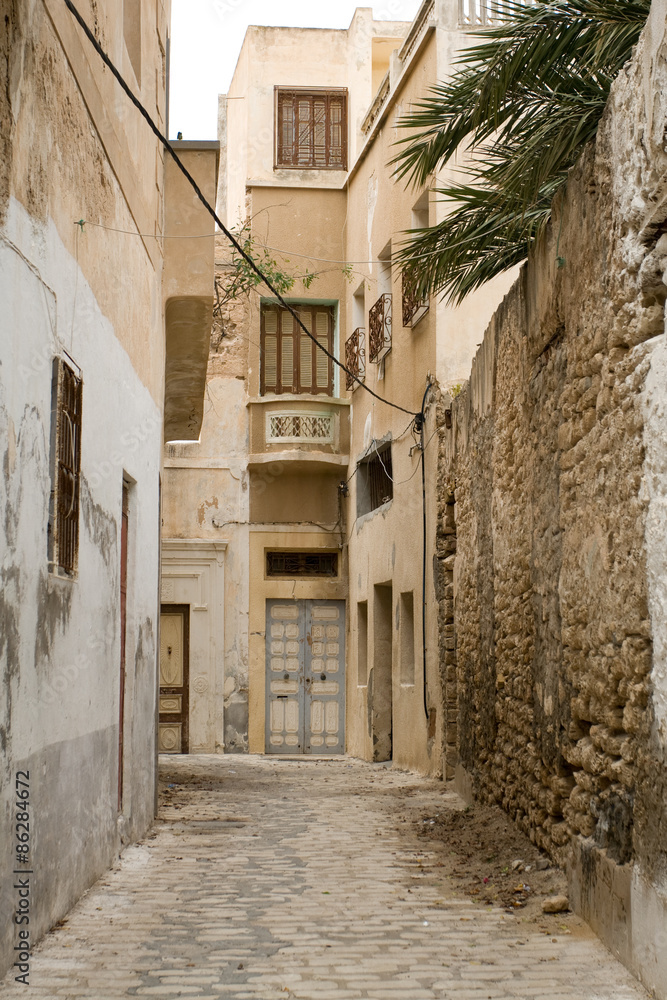 Fototapeta premium Street with wooden doors and bush in Mahdia. Tunisia. Africa.