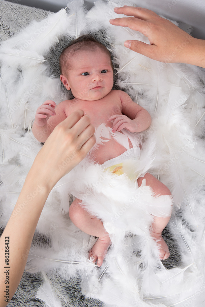 Newborn baby in white cotton and feathers Newborn baby in white cotton and feathers