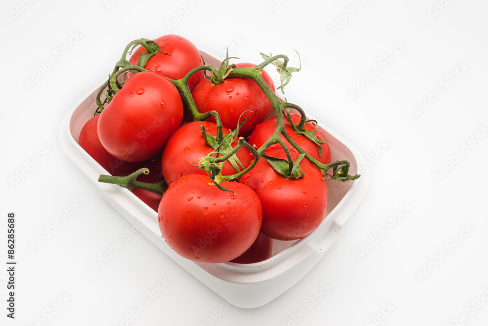 Fresh Tomatoes on the vine isolated on white Fresh Tomatoes on the vine isolated on white