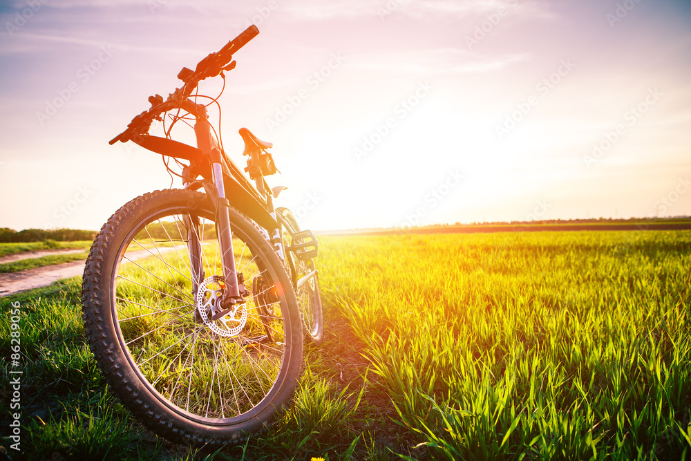 Naklejka premium Mountain biking